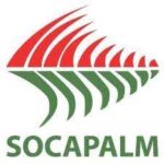 Socapalm